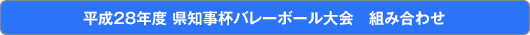 平成28年度 県知事杯バレーボール大会 組み合わせ